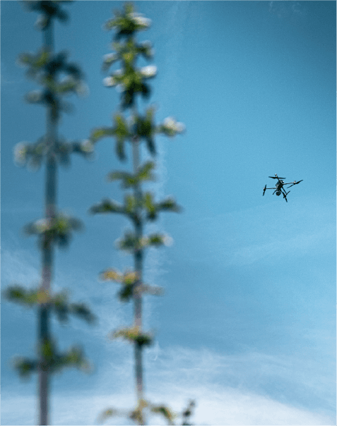 drone volant
